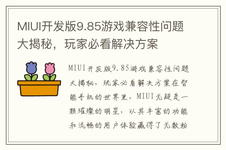 MIUI开发版9.85游戏兼容性问题大揭秘，玩家必看解决方案