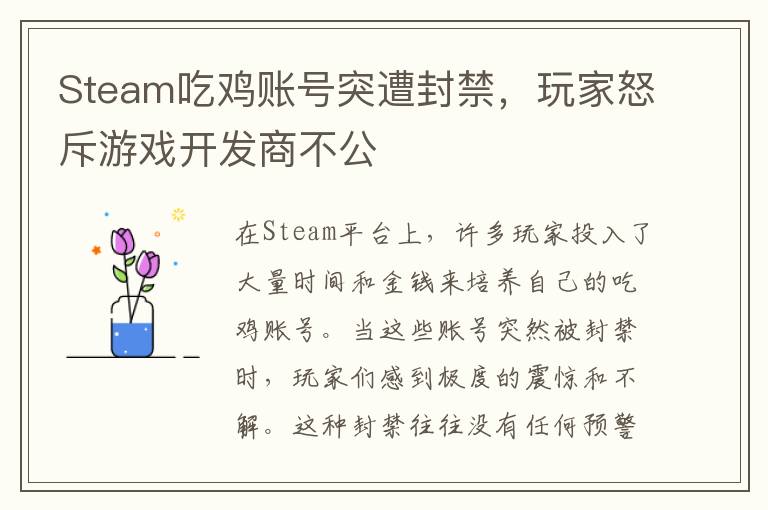 Steam吃鸡账号突遭封禁，玩家怒斥游戏开发商不公