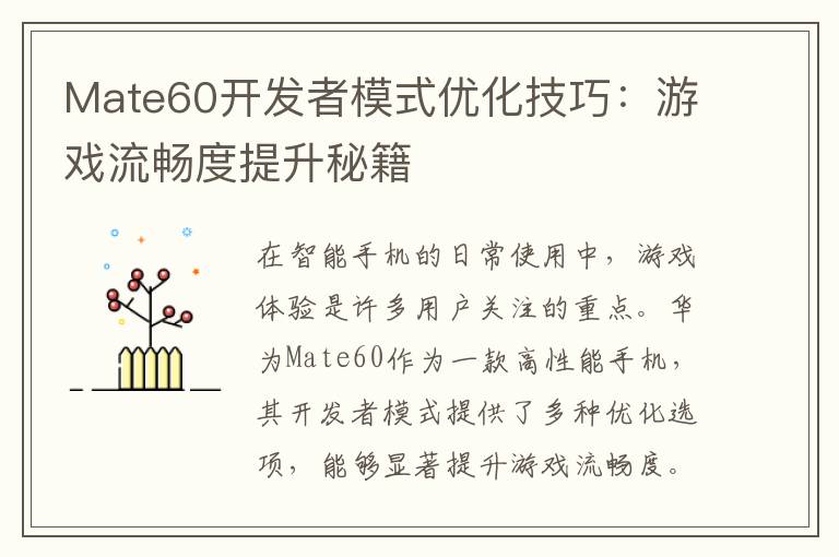 Mate60开发者模式优化技巧：游戏流畅度提升秘籍